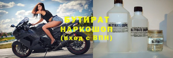 трава Няндома
