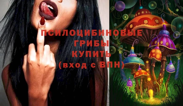 тгк Осинники