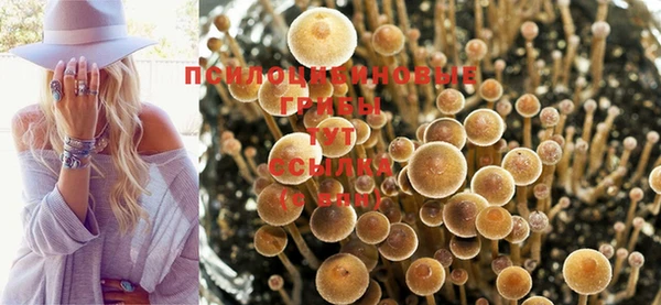 трава Няндома