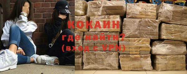 трава Няндома