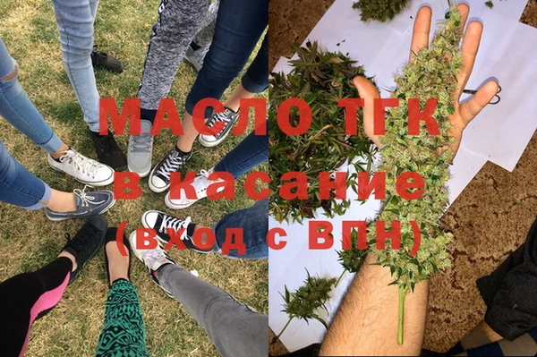 трава Няндома