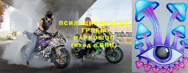 тгк Осинники