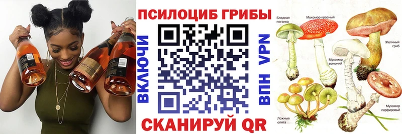Псилоцибиновые грибы Cubensis  это формула  Кизел 